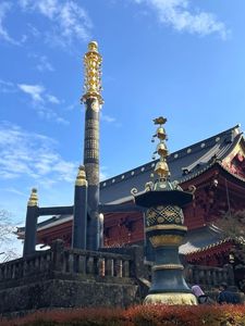輪王寺の金剛桜 5枚目