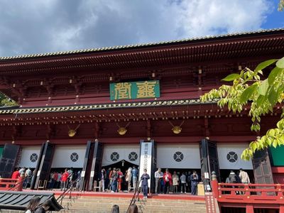 輪王寺の金剛桜 6枚目