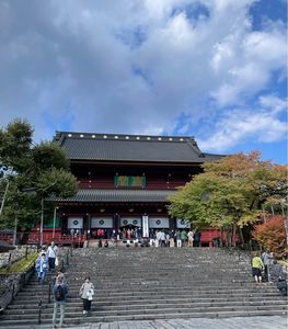 輪王寺の金剛桜 7枚目