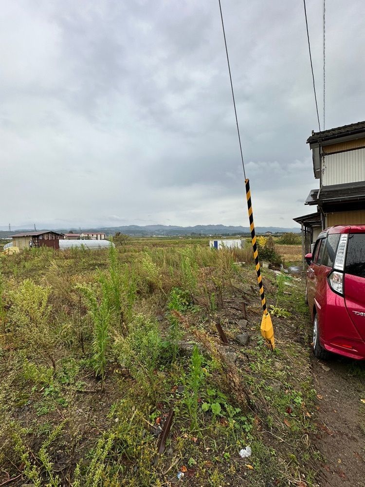 かめ_メグミさんが投稿した田代食堂に関する口コミの画像