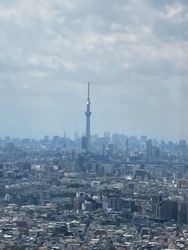 千葉 ドライブ 定番から穴場まで 千葉ドライブスポット6選 Aumo アウモ