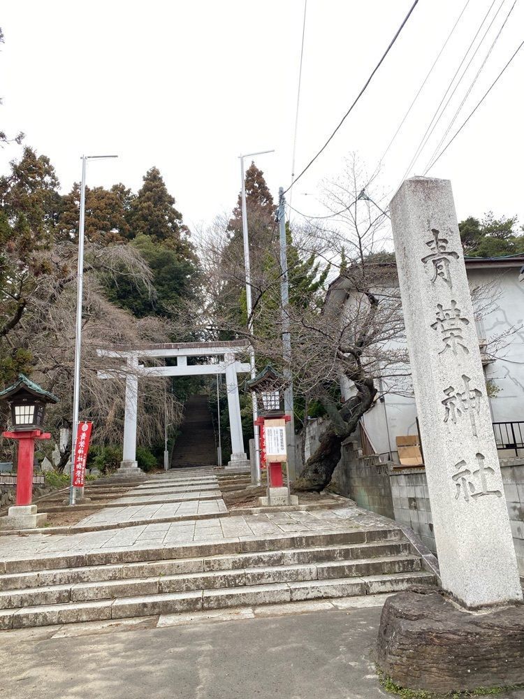 かめ_メグミさんが投稿した青葉神社に関する口コミの画像