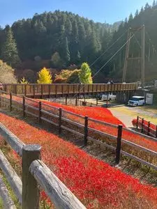 大井平公園