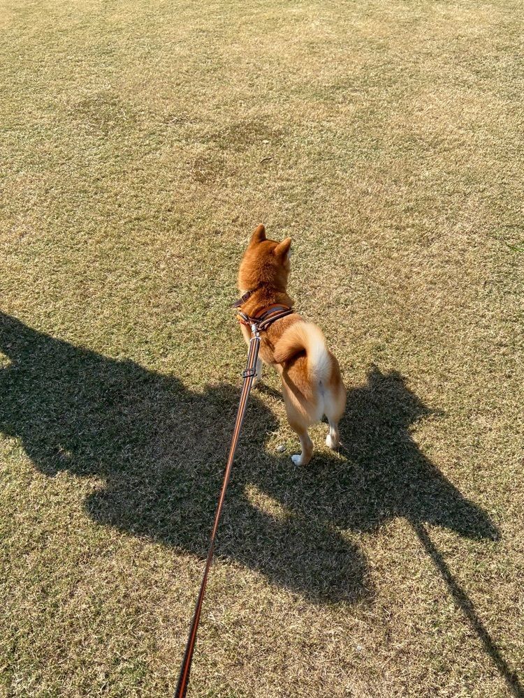 ibainuさんが投稿した石人の星公園（遠州灘海浜公園）に関する口コミの画像