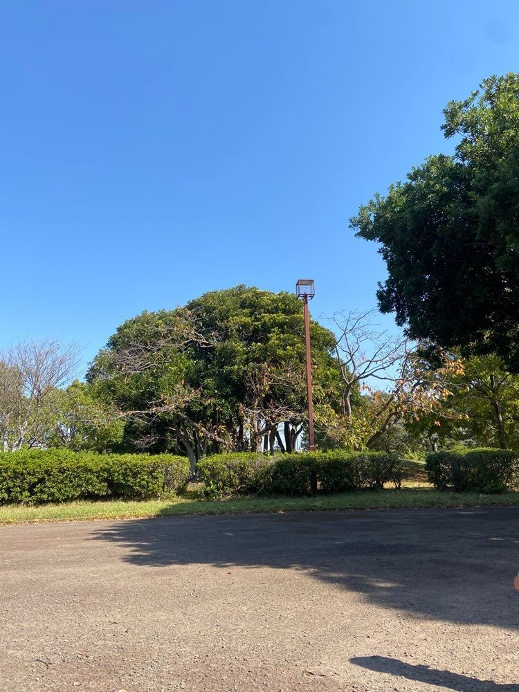 ibainuさんが投稿した石人の星公園（遠州灘海浜公園）に関する口コミの画像