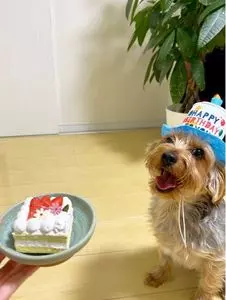 蔵の家