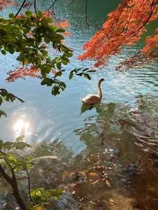 南伊奈ケ湖