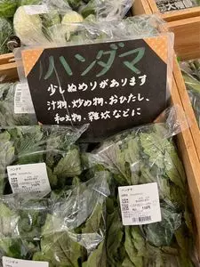 道の駅 伊良湖クリスタルポルト
