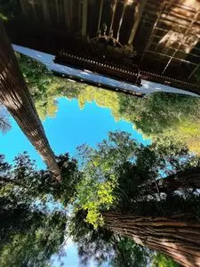 若宮八幡神社（山形県東根市）