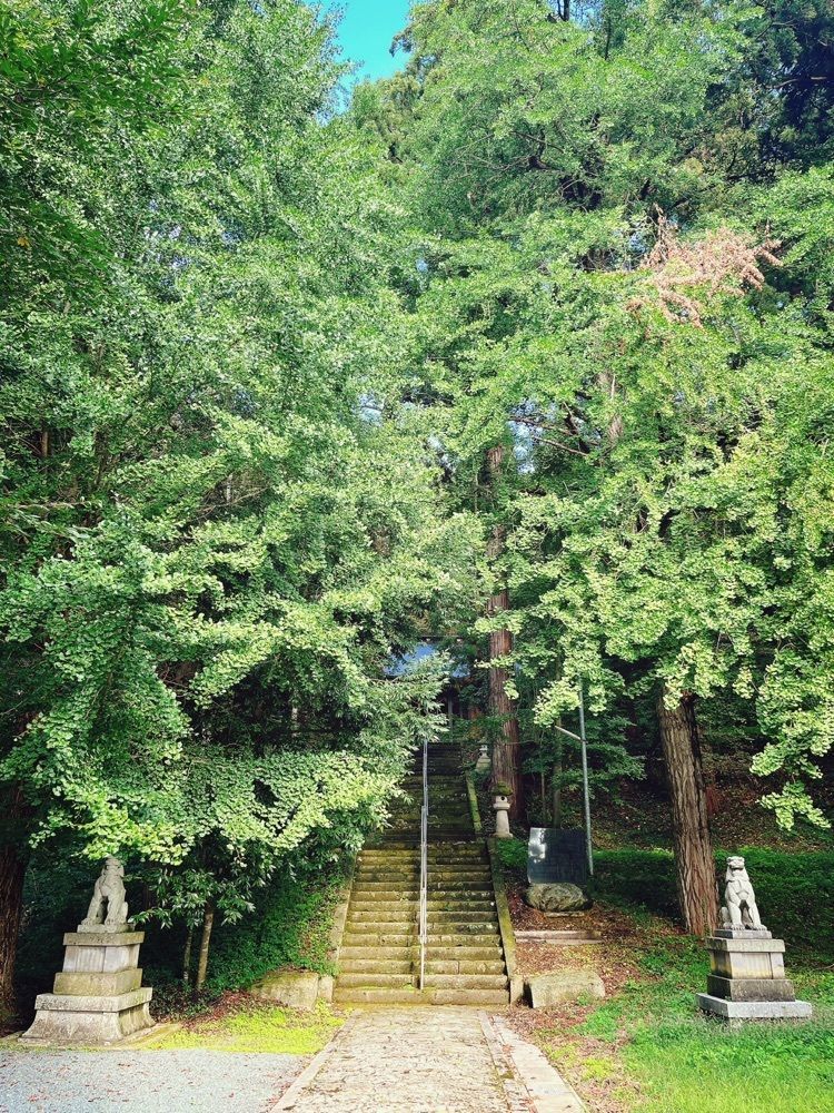 猫なぎ。さんが投稿した若宮八幡神社（山形県東根市）に関する口コミの画像