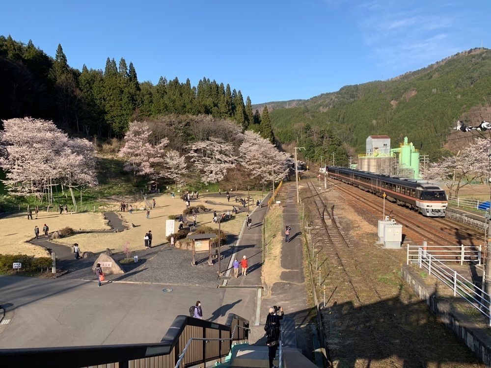 のりさん  さんが投稿した飛騨一ノ宮駅に関する口コミの画像
