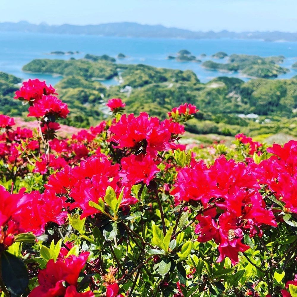 surumeさんが投稿した長串山公園ビジターセンターに関する口コミの画像