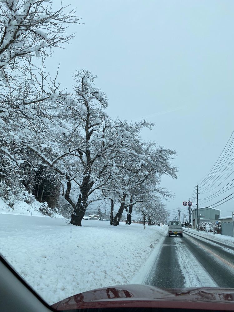 かめ_メグミさんが投稿した蛭沢川堤の桜に関する口コミの画像