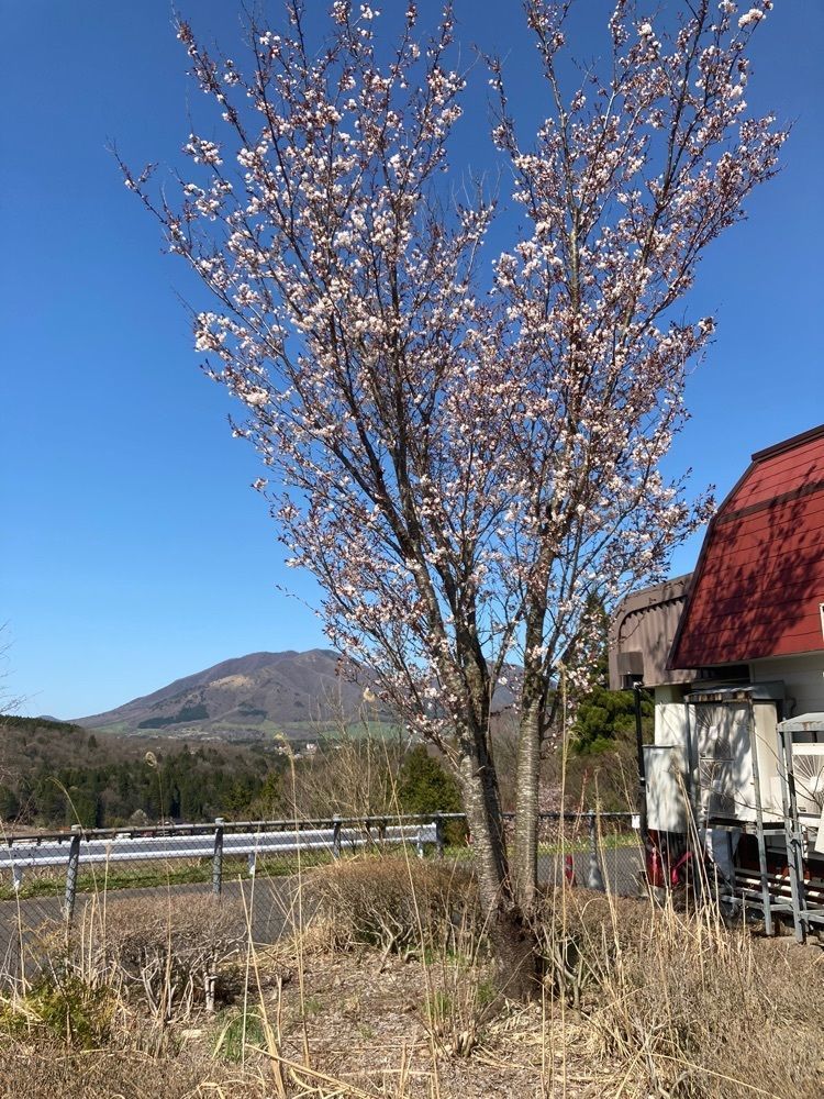 joyful_tourismさんが投稿したヒルゼン高原センター・ジョイフルパークに関する口コミの画像