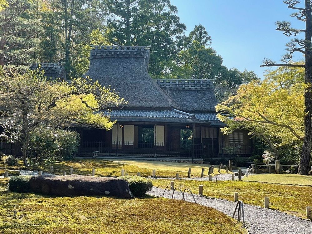 ヒデヤンさんが投稿した吉城園に関する口コミの画像