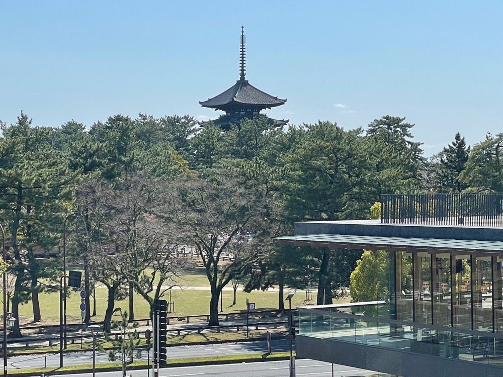 ヒデヤンさんが投稿したスターバックスコーヒー 奈良公園バスターミナル店（STARBUCKS COFFE）に関する口コミの画像