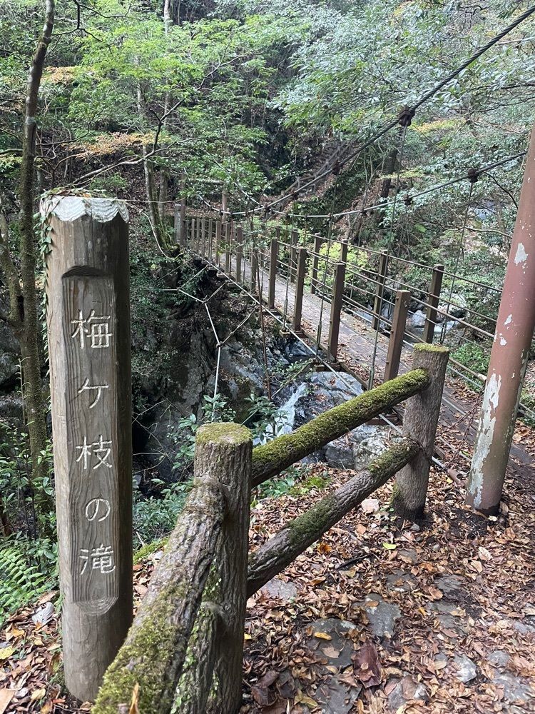 luckyさんが投稿した梅の木轟の吊り橋に関する口コミの画像