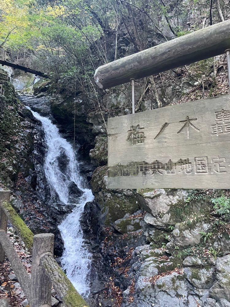 luckyさんが投稿した梅の木轟の吊り橋に関する口コミの画像