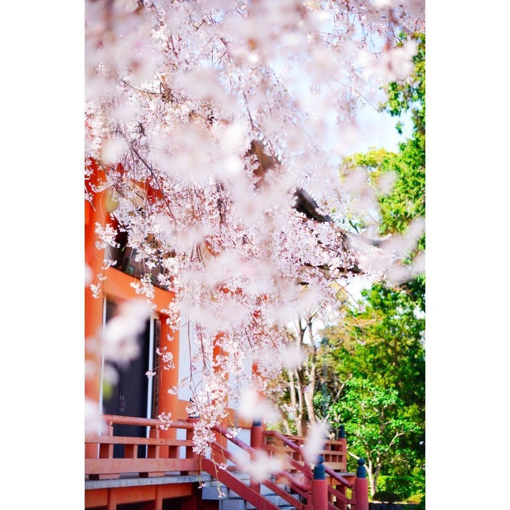 urban_garden_243aさんが投稿した道成寺に関する口コミの画像