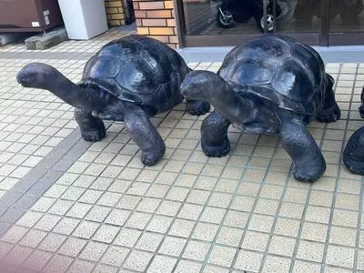 体感型動物園『iZoo』