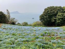 口コミ一覧 能古島 福岡市 その他 Aumo アウモ