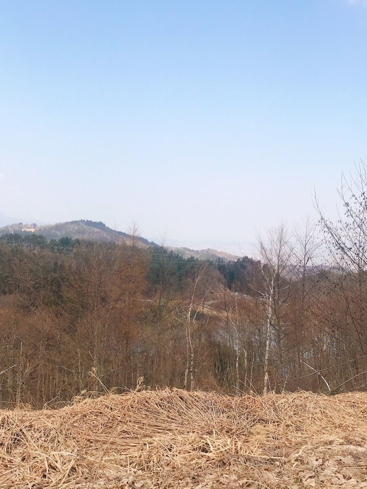 猫なぎ。さんが投稿した山辺町に関する口コミの画像