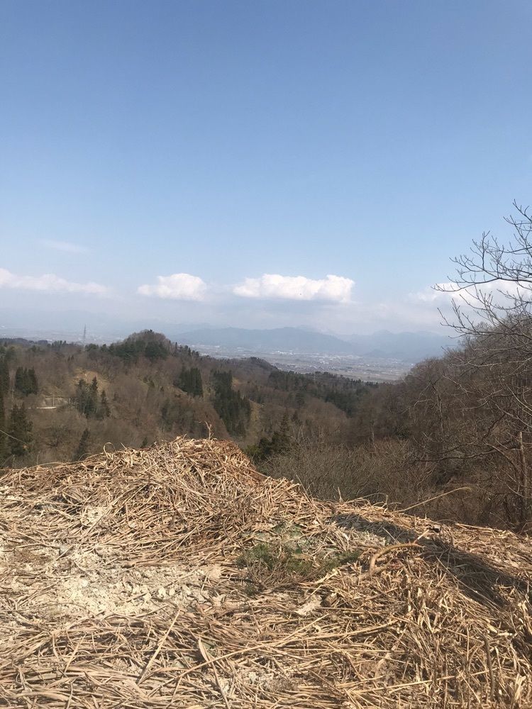 猫なぎ。さんが投稿した山辺町に関する口コミの画像