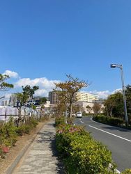 ケーヨーデイツー 新浦安店のチラシ お得なお買い物情報 Aumo アウモ
