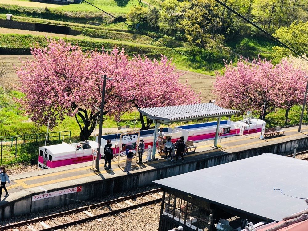 tulipさんが投稿した高千穂に関する口コミの画像
