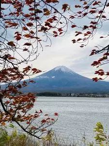 河口湖湖畔遊歩道