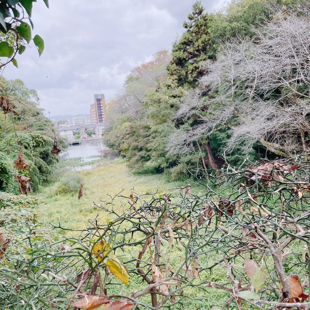Danjouさんが投稿した高岡公園に関する口コミの画像