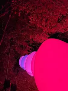 旭日丘湖畔緑地公園