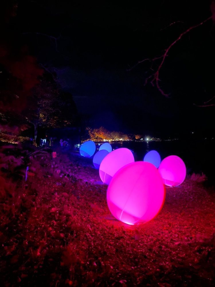 けんけんさんが投稿した旭日丘湖畔緑地公園に関する口コミの画像