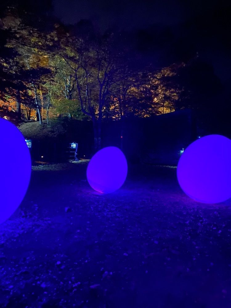 けんけんさんが投稿した旭日丘湖畔緑地公園に関する口コミの画像