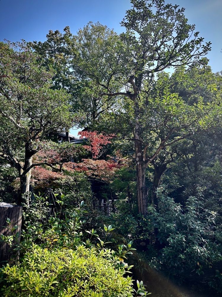 marco_travelnoteさんが投稿した西山艸堂（せいざんそうどう）に関する口コミの画像