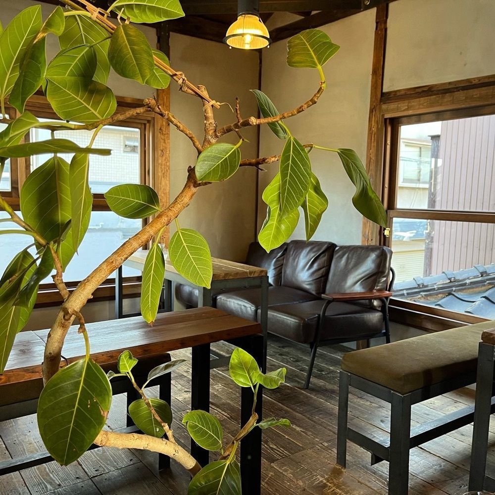 エリーチカさんが投稿したROOM2 COFFEE&ROASTER（ルームツー コーヒー&ロースター）に関する口コミの画像