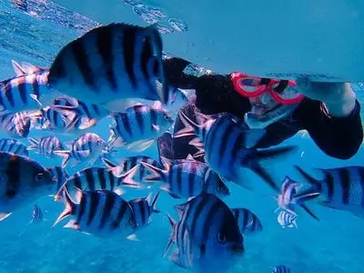 Diveきよら