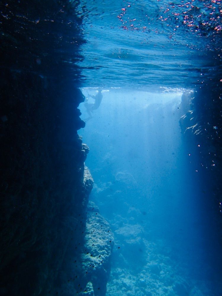 P-sanさんが投稿したDiveきよらに関する口コミの画像