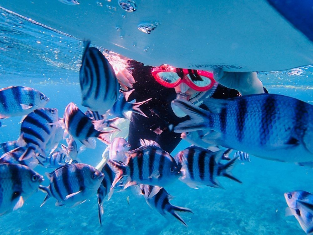 P-sanさんが投稿したDiveきよらに関する口コミの画像
