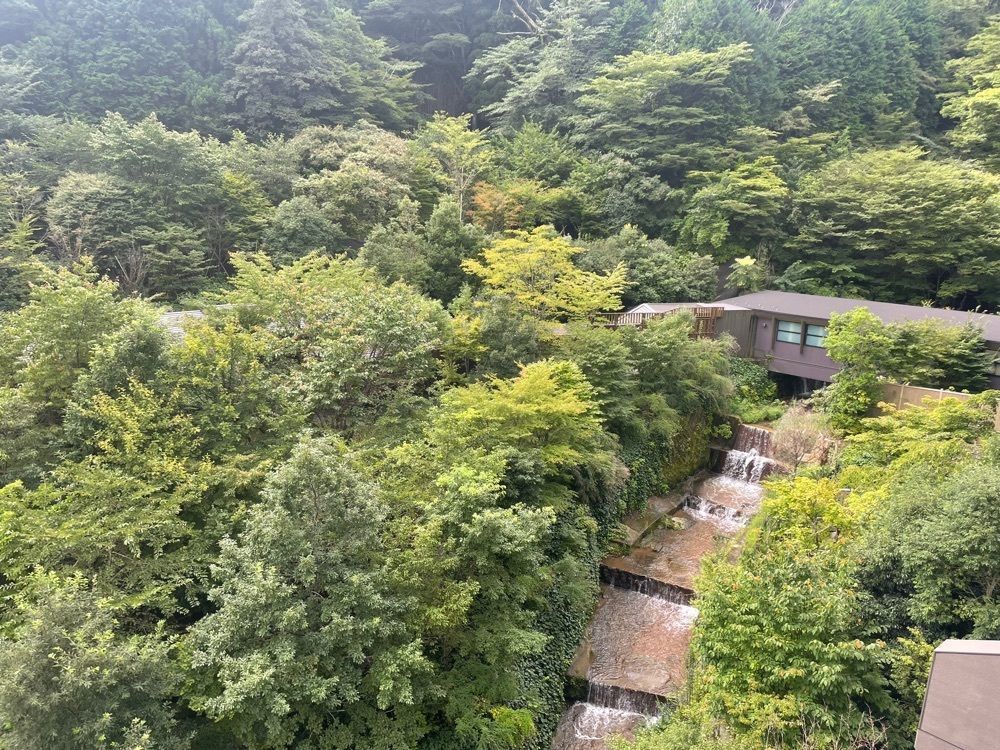 pom さんが投稿した箱根小涌園 天悠に関する口コミの画像
