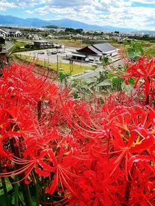 寺そば 寺カフェ 慈恩寺テラス内