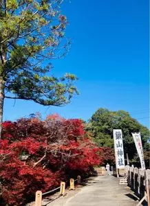 鍬山神社の紅葉