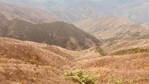 匹見峡レストパーク
