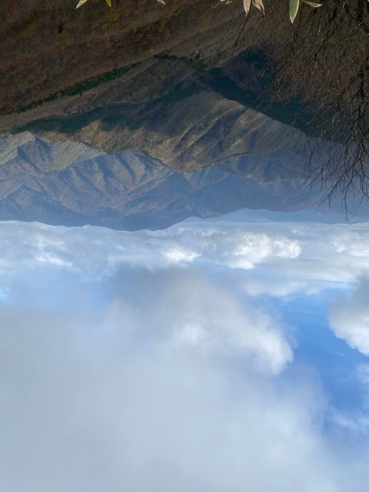 あるふぃすたさんが投稿した匹見峡レストパークに関する口コミの画像