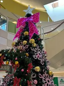 平和堂 アル・プラザ城陽
