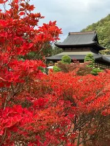 向嶽寺