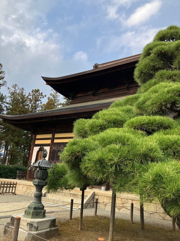 Nさんが投稿した向嶽寺に関する口コミの画像