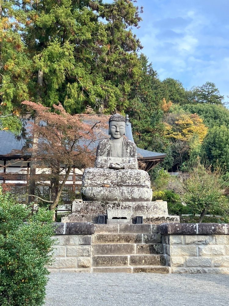 Nさんが投稿した向嶽寺に関する口コミの画像