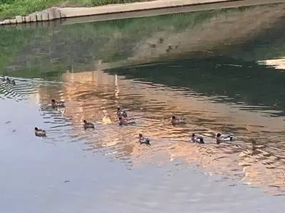 見付
