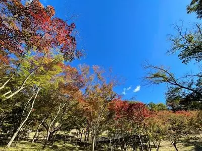 織姫公園